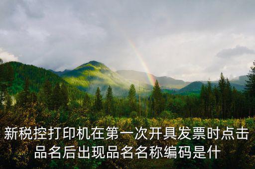 發(fā)票 商品編碼是什么，發(fā)票號(hào)碼和發(fā)票代碼是什么我的發(fā)票上只有單據(jù)編碼和貨品編號(hào)啊