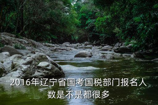 遼寧國(guó)稅什么時(shí)候報(bào)道，國(guó)考公務(wù)員遼寧國(guó)稅聽說(shuō)7月份報(bào)到是式工作了嗎