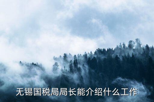 無錫地稅局長接待日是什么，無錫國稅局局長能介紹什么工作