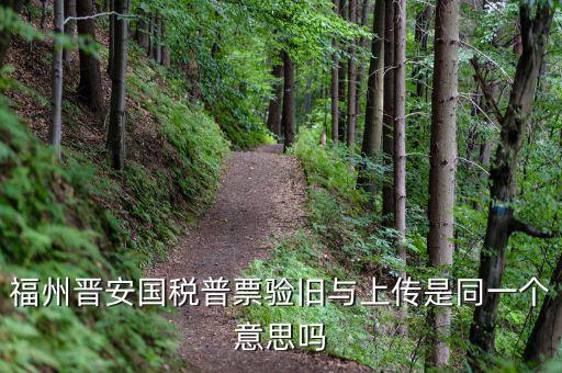 發(fā)票上傳什么意思嗎，開電子發(fā)票時候遇到交易數(shù)據(jù)正在上傳什么意思