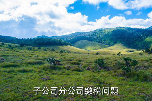 子公司繳稅在什么地方，子公司分公司繳稅問題