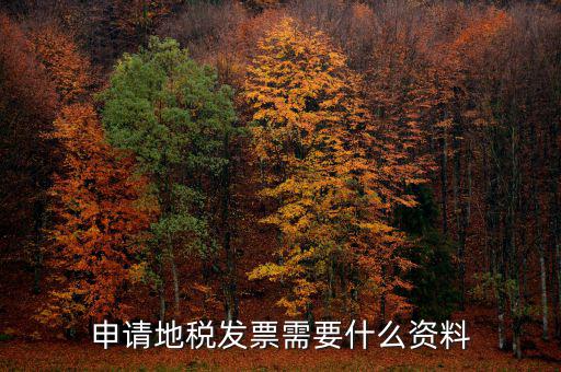 地稅局開票需要帶什么，申請地稅發(fā)票需要什么資料