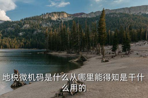 地稅登入碼是什么，地稅管理碼與稅號是同一個嗎我想知道稅務登記證上的稅字XXXXX