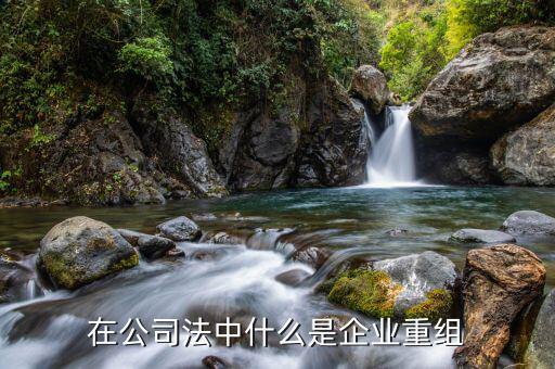 什么是企業(yè)重組的權(quán)益連續(xù)性原則，什么是公司重組