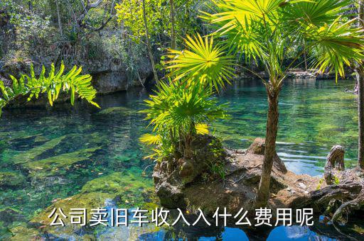 公司賣出二手車入賬要什么，求助我們公司才賣掉一輛車收的現(xiàn)金請(qǐng)問(wèn)摘要填寫什么用幾號(hào)