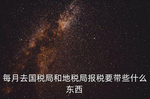 國(guó)稅大廳報(bào)稅需要什么，你好請(qǐng)教你一下如果我去國(guó)稅大廳報(bào)稅的話都需要帶什么東西填