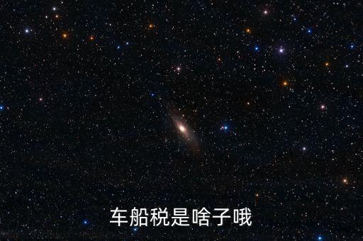 保險(xiǎn)的車船稅是什么，車船稅是啥子哦