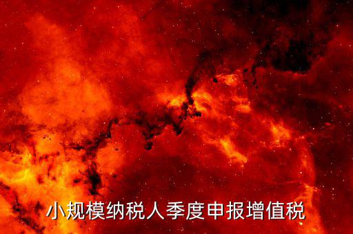 小規(guī)模季報(bào)申報(bào)增值稅帶什么，小規(guī)模納稅人增值稅申報(bào)要準(zhǔn)備什么資料