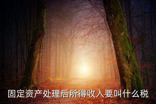 什么叫做試點(diǎn)納稅人，固定資產(chǎn)處理后所得收入要叫什么稅