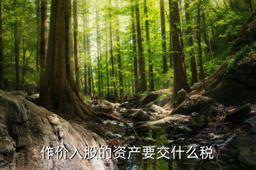 入股金繳納什么稅，作價入股的資產(chǎn)要交什么稅