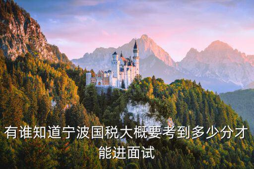 國稅 要求什么素質(zhì)，國稅公務員面試