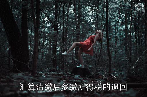 匯算清繳多繳稅款什么時候退，企業(yè)所得稅匯算清繳退款什么時候到賬