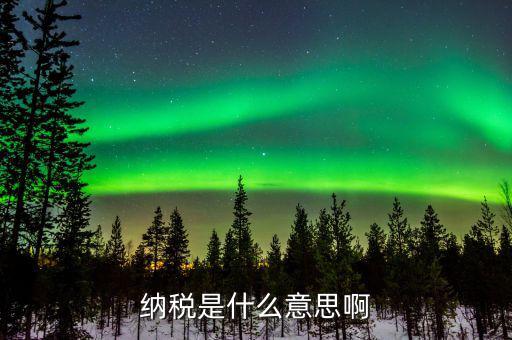 納稅評定稅款是什么意思，納稅是什么意思