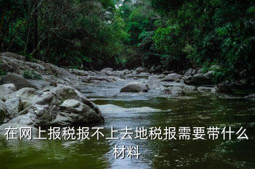 網(wǎng)上報(bào)稅反寫失敗帶什么手續(xù)，去國(guó)稅局查看反寫需要帶什么