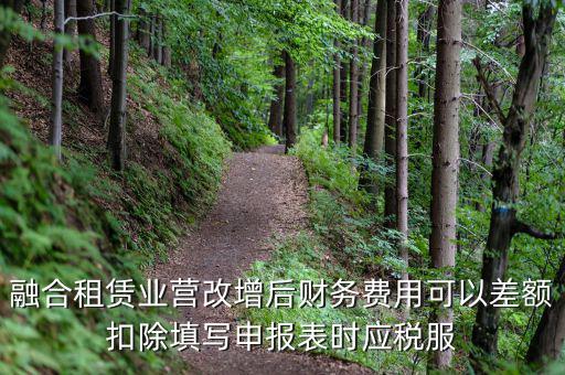 應(yīng)稅服務(wù)扣除項目清單干什么用，應(yīng)稅服務(wù)扣除項目清單中允許扣除項目金額指的是什么是總