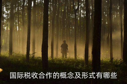 國際稅源是什么意思，國際稅收合作的概念及形式有哪些