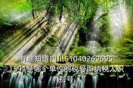 四川國(guó)稅廳帳號(hào)是什么，有誰知道四川510402696951591是哪個(gè)單位的稅號(hào)即納稅人識(shí)別號(hào)