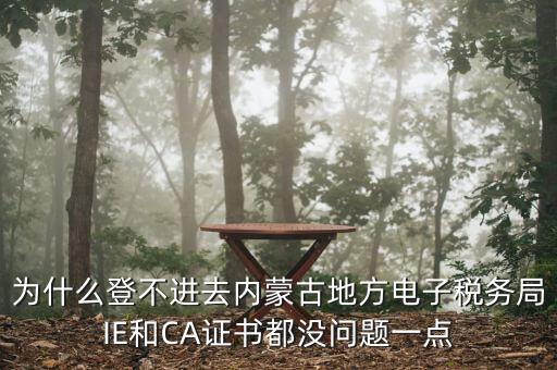 為什么登不進去內(nèi)蒙古地方電子稅務(wù)局IE和CA證書都沒問題一點