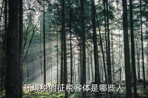 環(huán)保稅納稅人的什么意思，環(huán)境稅是什么意思