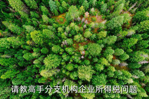 企業(yè)所得稅分管單位是什么意思，企業(yè)所得稅主管稅務(wù)局指的是什么