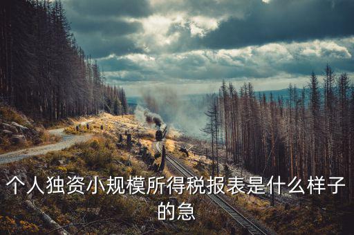所得稅報表是什么樣的，企業(yè)所得稅年度納稅申報表
