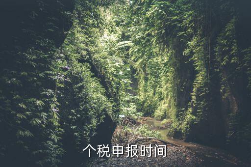 個稅申報(bào)時間