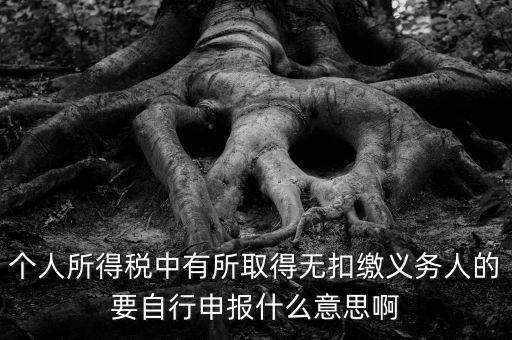 什么叫自行申報，個人所得稅中有所取得無扣繳義務(wù)人的要自行申報什么意思啊