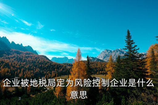 地稅房地產(chǎn)風(fēng)控是什么意思，風(fēng)控是什么意思