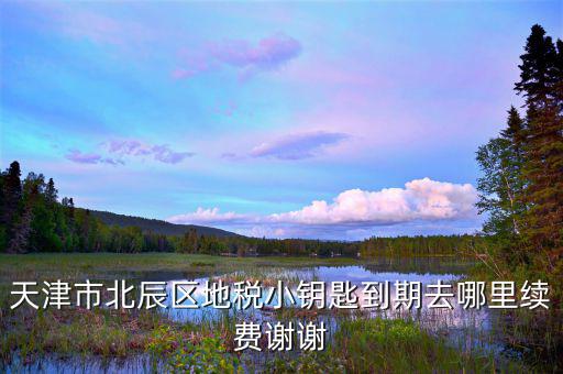 天津地稅小鑰匙密碼是什么，天津市北辰區(qū)地稅小鑰匙到期去哪里續(xù)費(fèi)謝謝