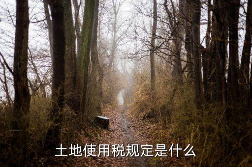 大宗商品土地使用稅指什么，土地使用稅