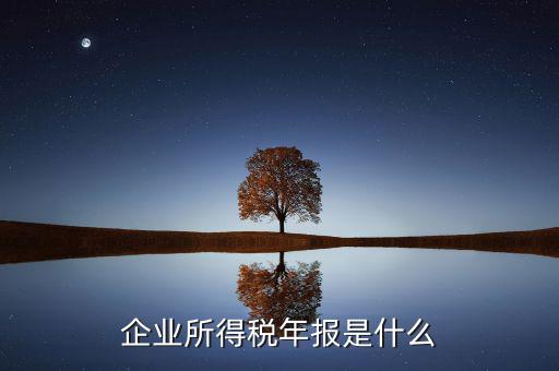 企業(yè)所得稅年度申報(bào)有什么用，企業(yè)所得稅按季申報(bào)和年度申報(bào)有什么區(qū)別