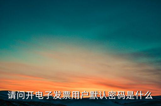 重慶國稅電子發(fā)票登錄密碼是什么意思，國稅局發(fā)票軟件里用戶代碼和密碼是什么