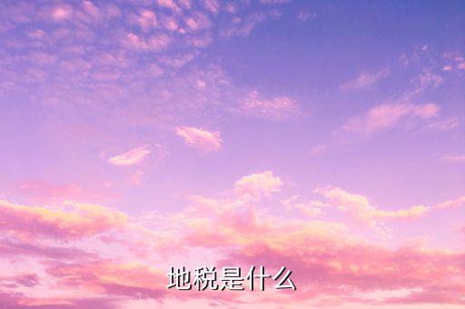 地稅調(diào)研文章些什么意思，通過對(duì)某地方國(guó)稅地稅辦稅業(yè)務(wù)的調(diào)研談?wù)劕F(xiàn)階段地方國(guó)稅地稅