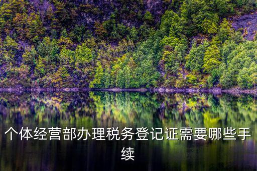稅務(wù)登記辦理都需要什么，辦理稅務(wù)登記證都需要提供什么資料