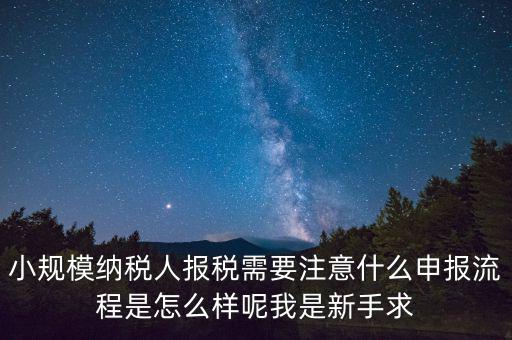 報稅需要注意什么手續(xù)，一般納稅人每個月怎么報稅報稅時要注意什么流程是怎么樣的