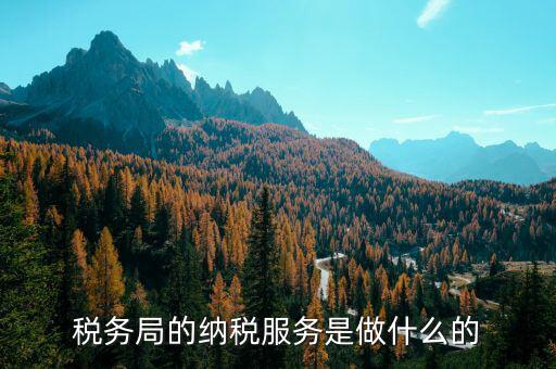 稅務(wù)全程服務(wù)的內(nèi)涵是什么，稅務(wù)是什么意思啊學(xué)什么內(nèi)容