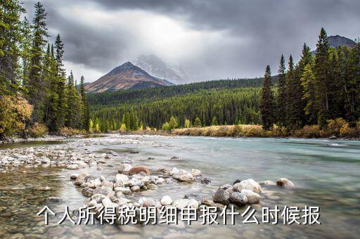 個人所得稅明細(xì)申報(bào)什么時候報(bào)