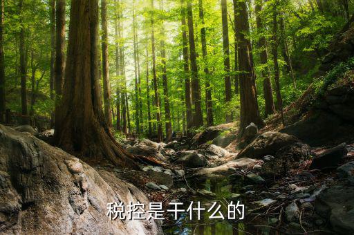 稅控發(fā)行是什么，什么叫稅控