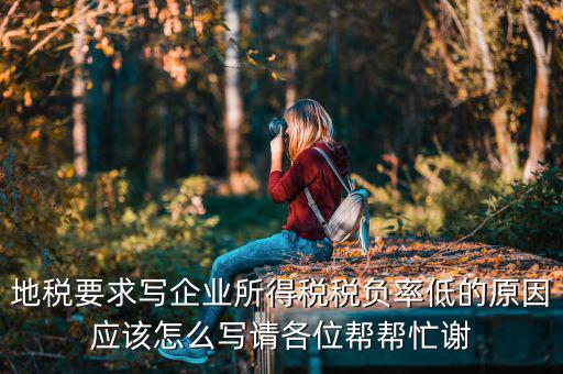 地稅的風險評定低是什么意思，地稅要求寫企業(yè)所得稅稅負率低的原因應該怎么寫請各位幫幫忙謝