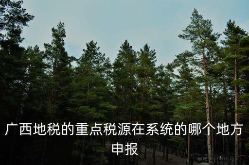 廣西地稅網(wǎng)是什么，進(jìn)入廣西地稅網(wǎng)后為什么網(wǎng)上辦稅大廳會(huì)進(jìn)不去