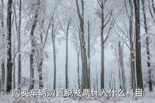 車輛購置發(fā)票是什么，關于車輛購置稅發(fā)票的問題