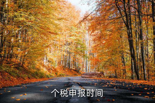 個(gè)人經(jīng)營(yíng)所得稅什么時(shí)候申報(bào)，個(gè)人所得稅明細(xì)申報(bào)什么時(shí)候報(bào)