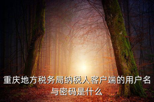重慶國稅電子發(fā)票登錄密碼是什么，國稅局發(fā)票軟件里用戶代碼和密碼是什么