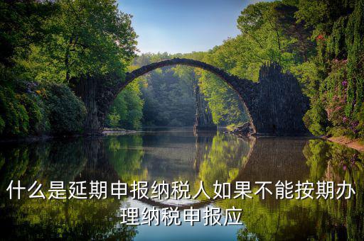 為什么納稅申報延期，關于延遲納稅的問題