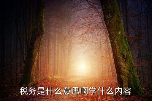 稅務(wù)中介是什么，稅務(wù)師事務(wù)所屬于什么行業(yè)