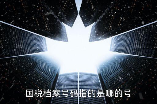 國稅號碼是什么，什么是國稅檔案號