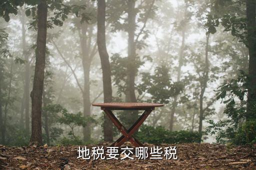 地方稅務局都涉及到什么稅種，地稅局系統(tǒng)征收哪些稅種