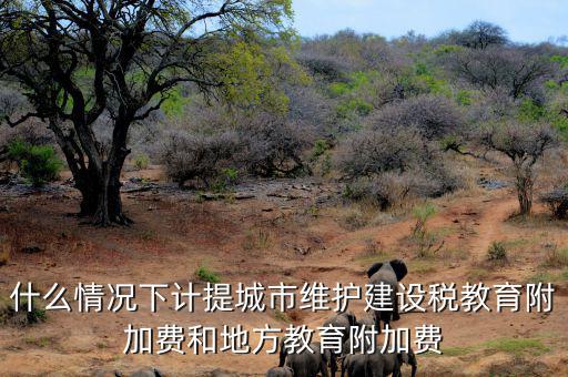 什么情況下免交地方教育稅附加，什么情況下計提城市維護(hù)建設(shè)稅教育附加費(fèi)和地方教育附加費(fèi)