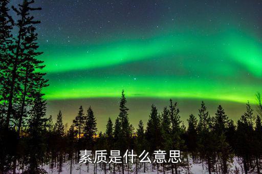納稅服務(wù)素質(zhì)是什么意思，素質(zhì)的意思是