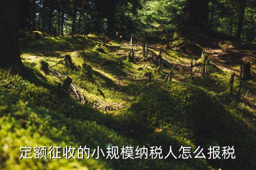 小規(guī)模納稅人 什么定額申報(bào)，定額征收的小規(guī)模納稅人怎么報(bào)稅